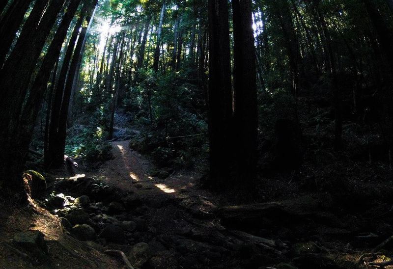 Creek Crossing