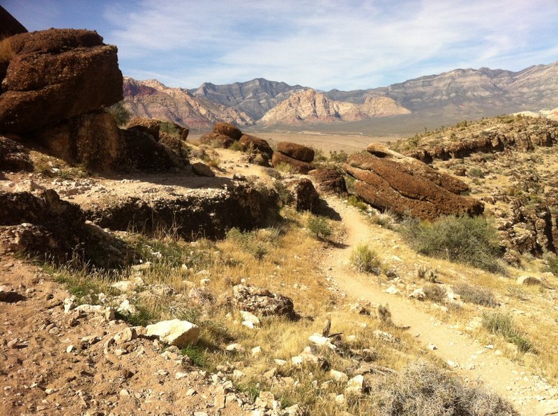 Up Fossil Canyon a choice to ride the rocky bench or more flow to the right. Life is full of choices....ride them!