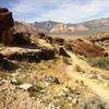 Up Fossil Canyon a choice to ride the rocky bench or more flow to the right. Life is full of choices....ride them!