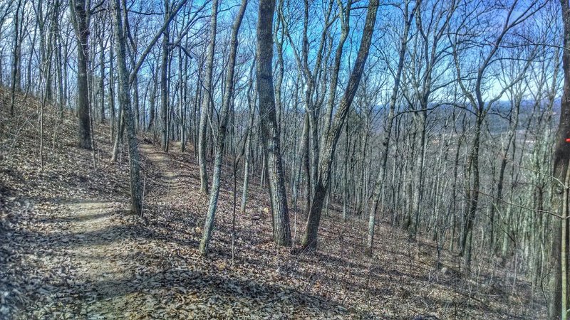 A view of the climb up the Tortoise trail on Coldwater Mountain.