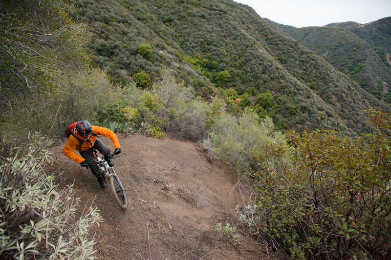 High on the Romero singletrack