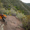 High on the Romero singletrack