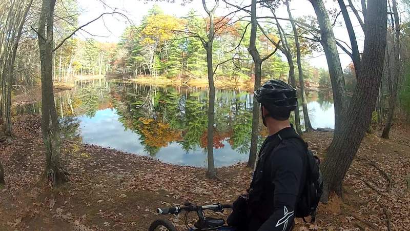 Fall colors at Harold Parker State forest trail system.