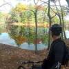 Fall colors at Harold Parker State forest trail system.