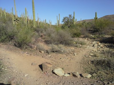 Stay Left at these rocks.
