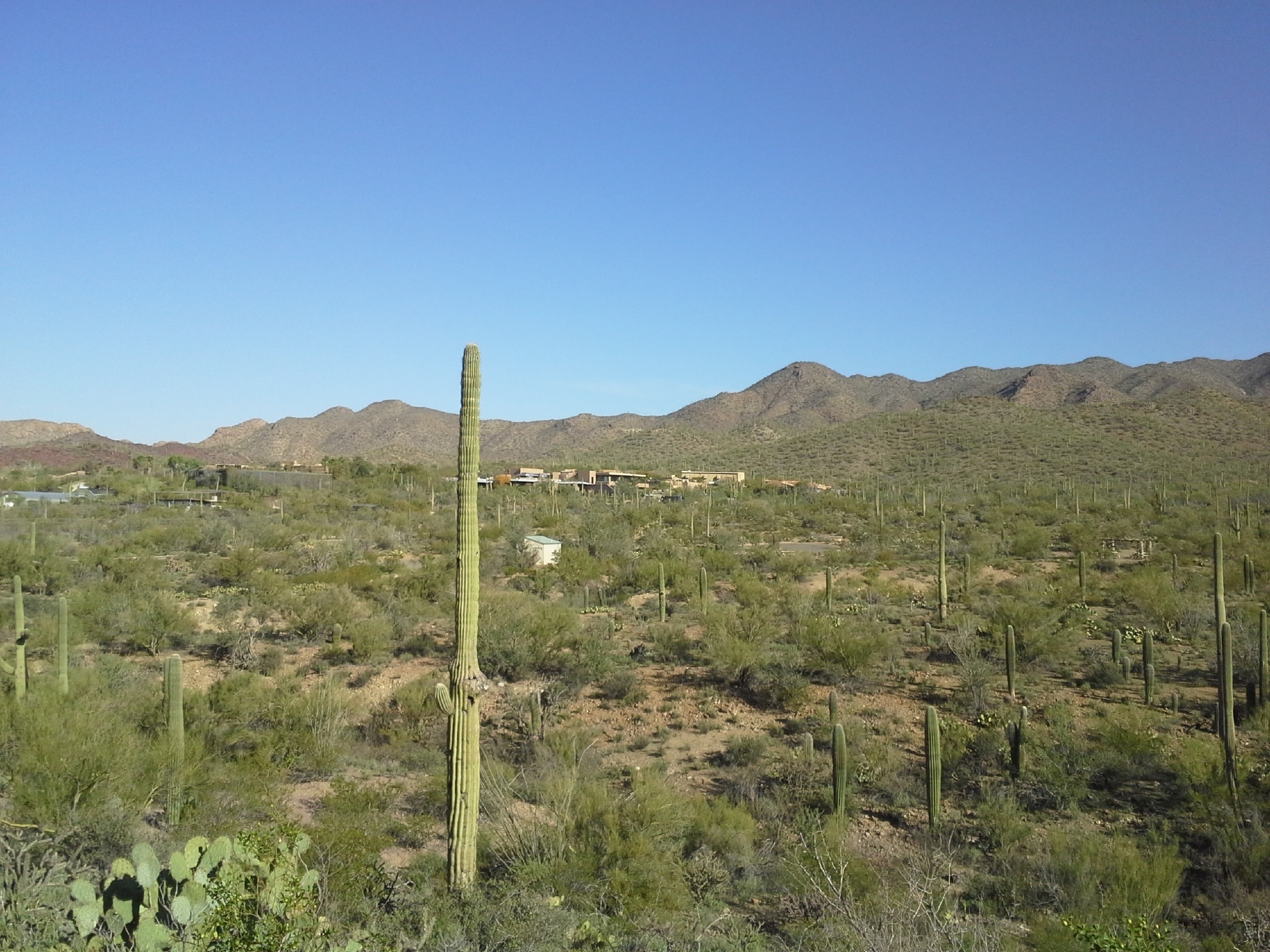 North View of Desert Museum and Juan Santa Cruz picnic area