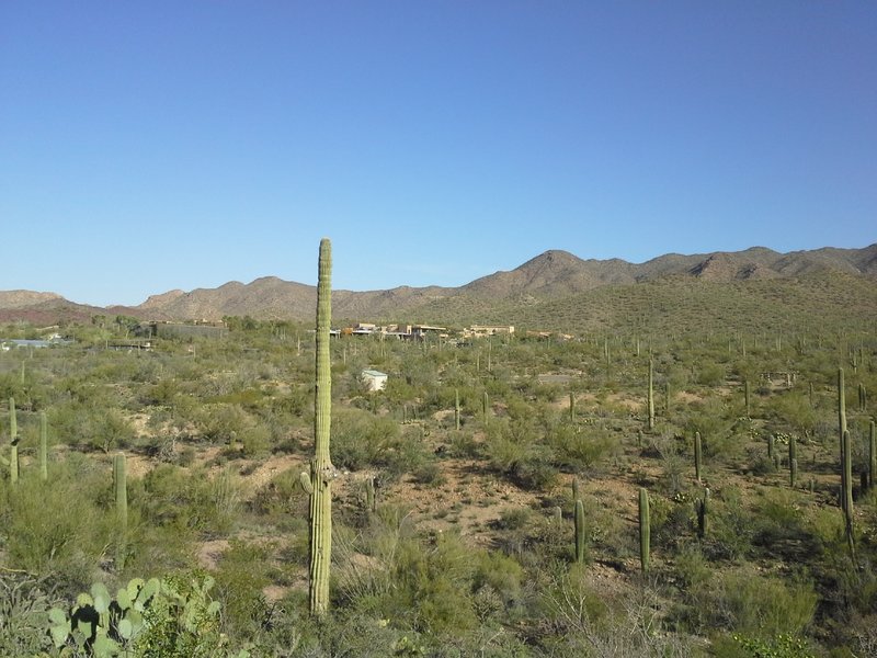 North View of Desert Museum and Juan Santa Cruz picnic area.