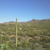 North View of Desert Museum and Juan Santa Cruz picnic area.