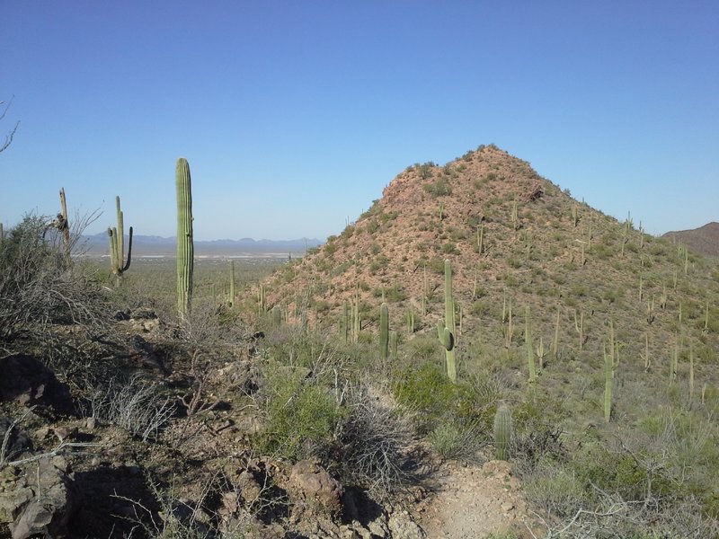 Looking Northwest at Brown Mountain and trail