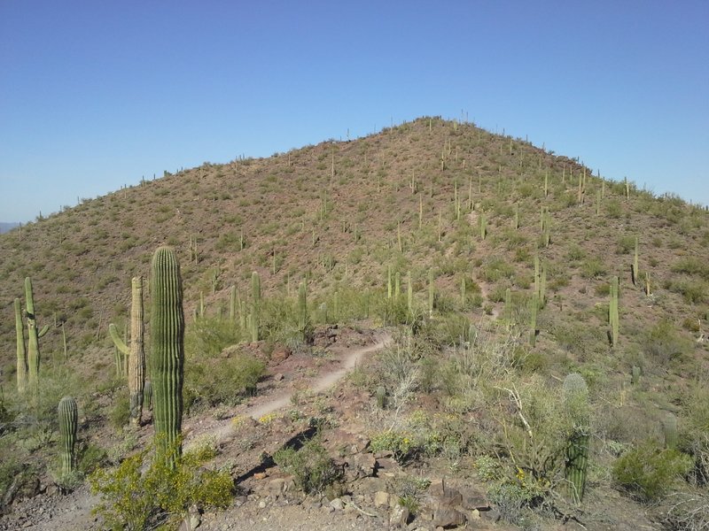 Looking Northwest at the switchbacks