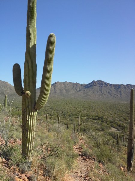 Mountain Views from the Switchbacks