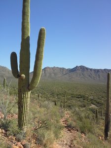 Mountain Views from the Switchbacks
