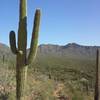 Mountain Views from the Switchbacks