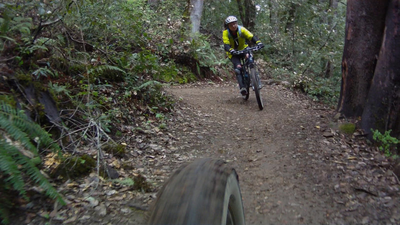 Flow switchback on the upper singletrack, Long Ridge Trail.