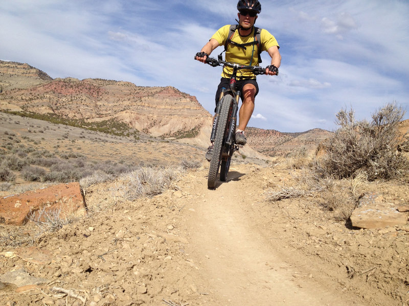 Cruising along Down Uppity - mostly smooth, dry singletrack.