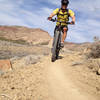 Cruising along Down Uppity - mostly smooth, dry singletrack.