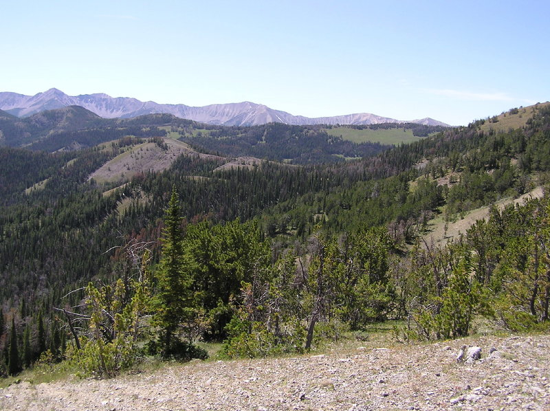 View toward western side of trail loop.