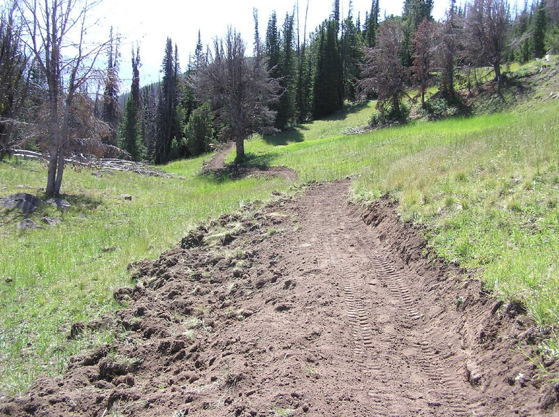 Recently reconstructed section of trail. BUFF.