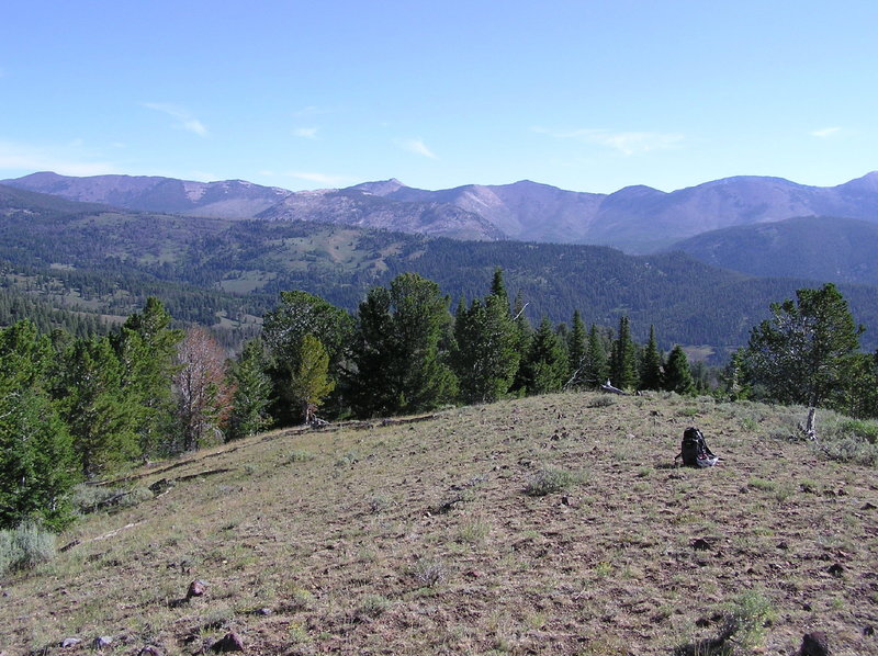 View east from the trail.