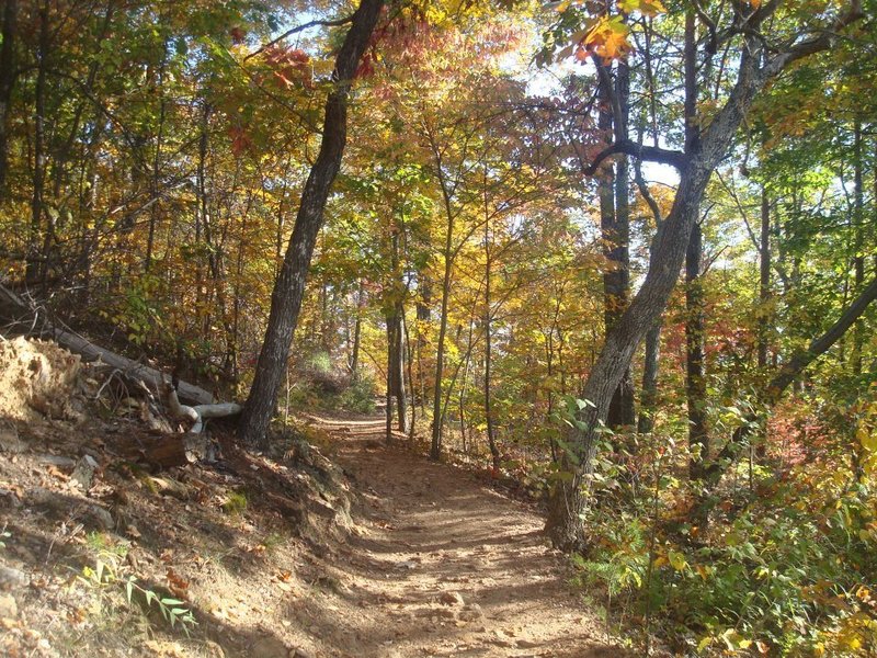 Brissy Ridge Trail