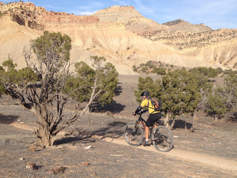 A few rare trees and smooth singletrack along Frontside.