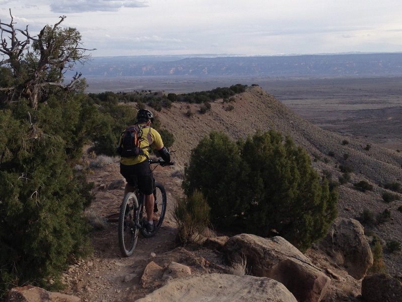 Frontside eventually climbs to a ridge, providing epic scenery for the rest of the Zippity ride.