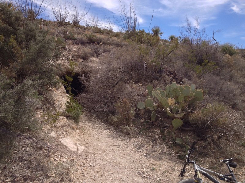 Cave on Happy Hill