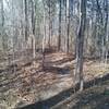 Tight and twisty singletrack along the Power Line Trail