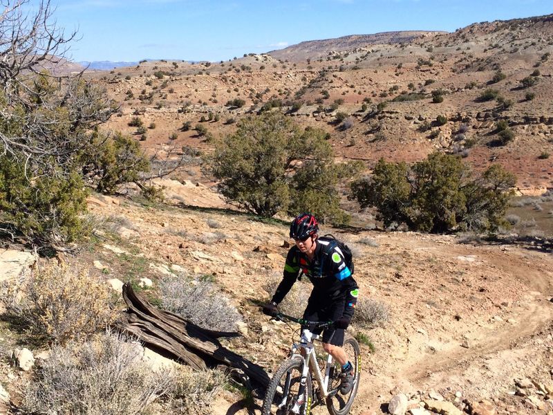 Cranking up one of the many small hills of Rabbit Valley 3