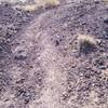 The low cinder cone (?) between Black and Vulcan provides an opportunity to ride on crunchy pumice