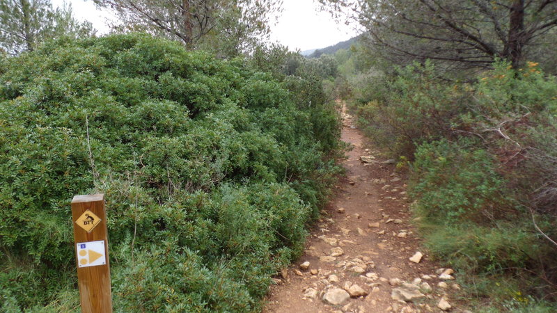 Start of the singletrack portion