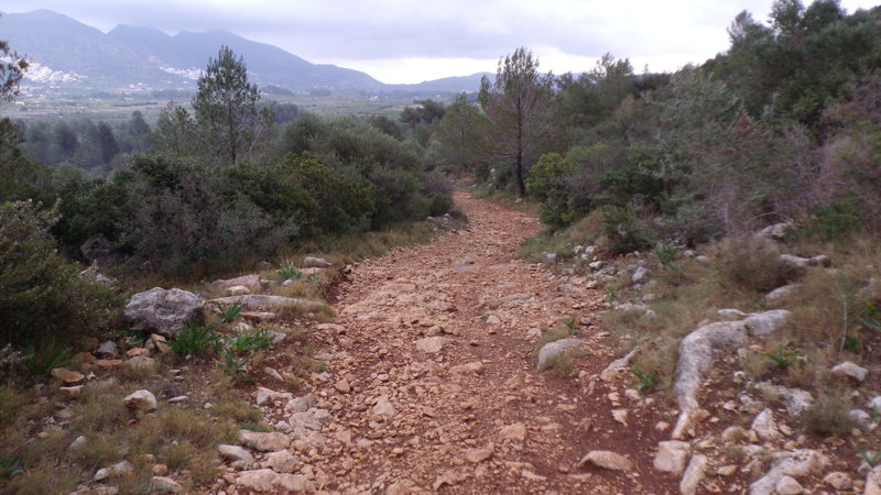 More singletrack...