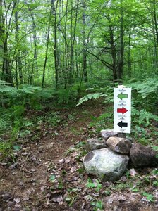 short cut to skip Wagon Wheel Ridge