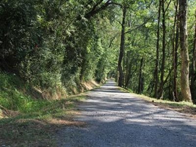 trail from the lower end headed back towards the top of the trail.