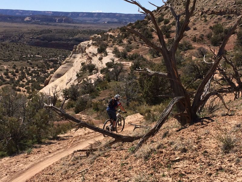 The awesome Western Rim trail