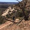 The awesome Western Rim trail