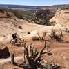 One of the side canyons on Western Rim trail