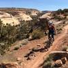 On the Western Rim trail