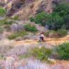 Like a sled course, The Luge snakes steeply down the cliff side.