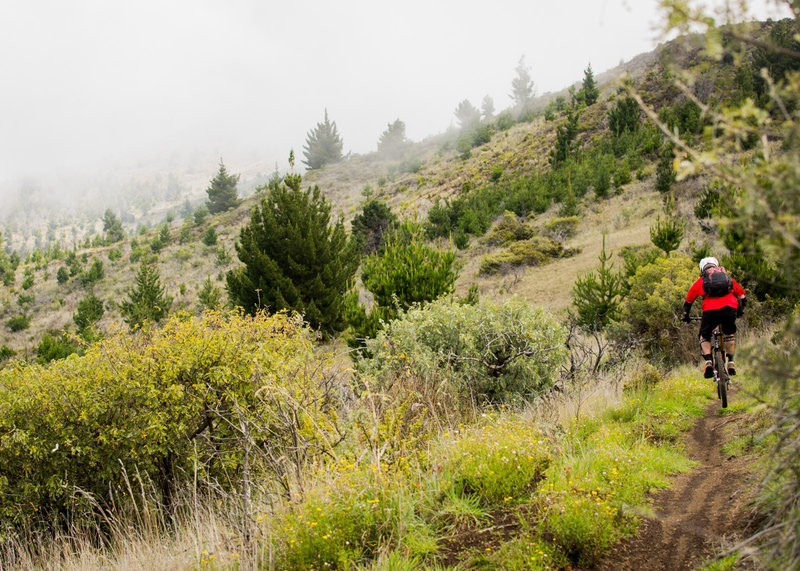 The upper end of Mamane has plenty of rolling, jumpy fun.