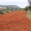 Wonderful red soil and early spring plantings - heading towards Senija