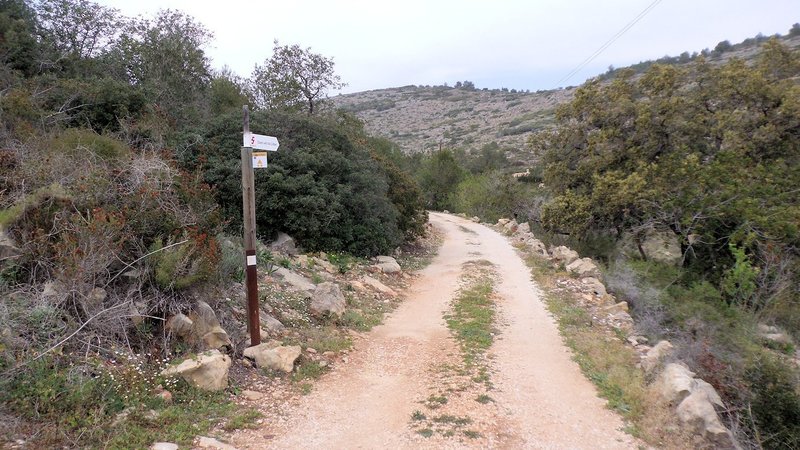 Start of the dual track just outside of Liber