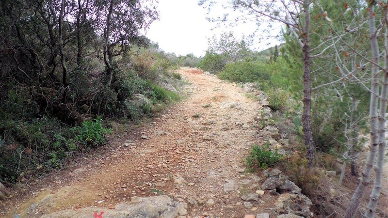 Start of singletrack section