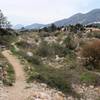 Singletrack along the dried river bed