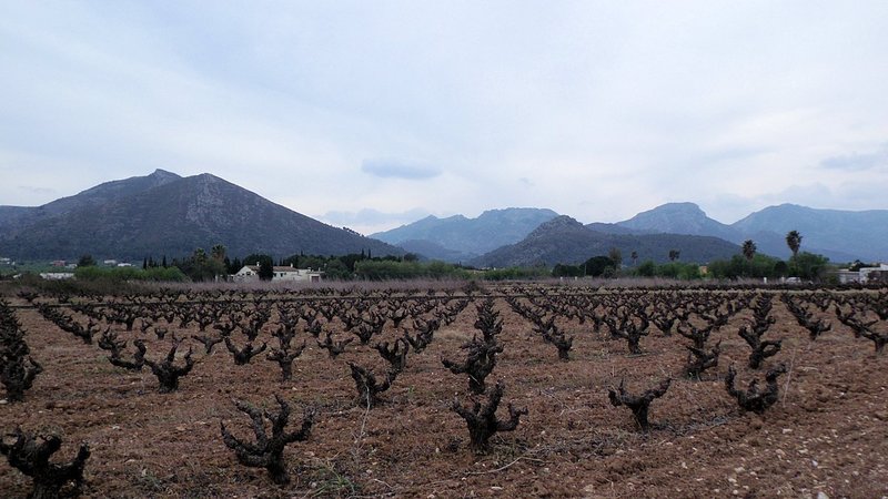 The valley is surrounded by mountains...