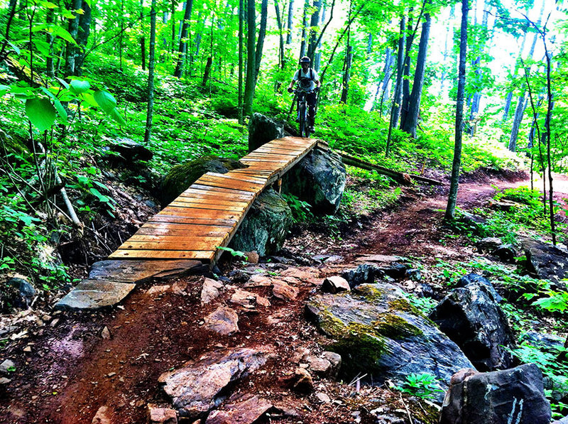 Boardwalk in the Stone Binge Skills Area