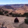 Stunning views of Canyonlands from the Twisted Tree trail