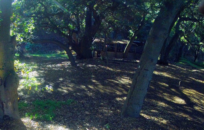 Next to a water break spot, the stable in a shaded hollow.