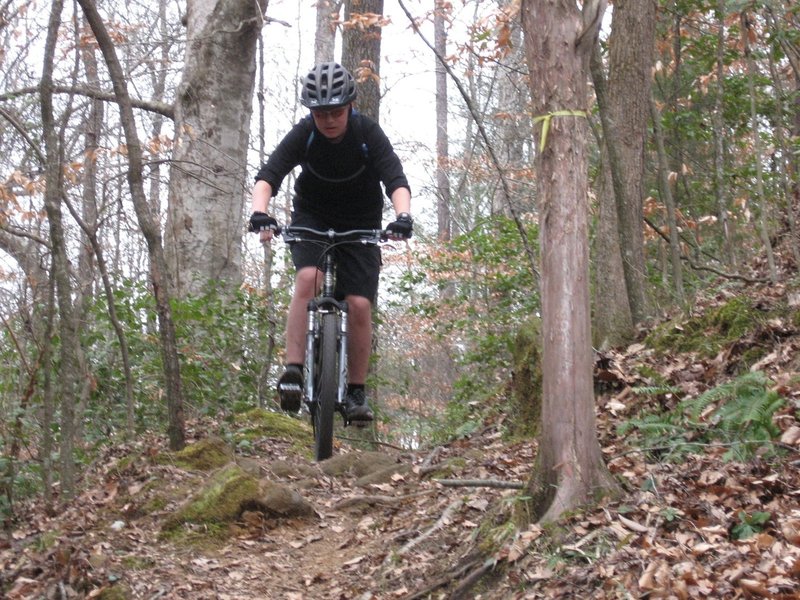 Taylor heading down towards the Creek Crossing on the Brutality Trail