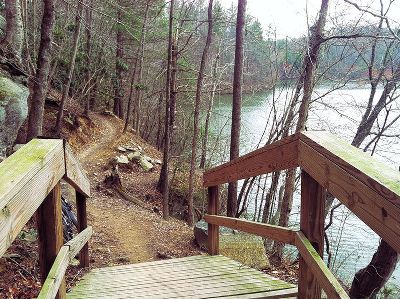 Bridge and Rope Swing area - Take a swing into the lake or continue on up the hill...